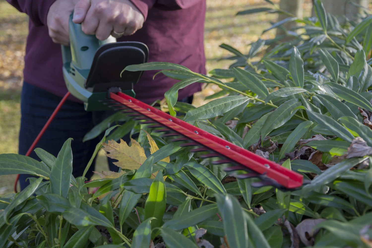 Webb EHT500 Classic Electric 500w Hedge Trimmer 50cm/20in 240v 7 Webb EHT500 Classic Electric 500w Hedge Trimmer 50cm/20in 240v - Image 7