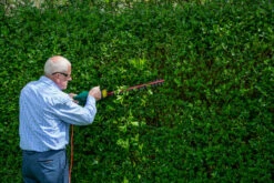 Webb EHT500 Classic Electric 500w Hedge Trimmer 50cm/20in 240v 15 Webb EHT500 Classic Electric 500w Hedge Trimmer 50cm/20in 240v -Household Tools WEEHT500 09