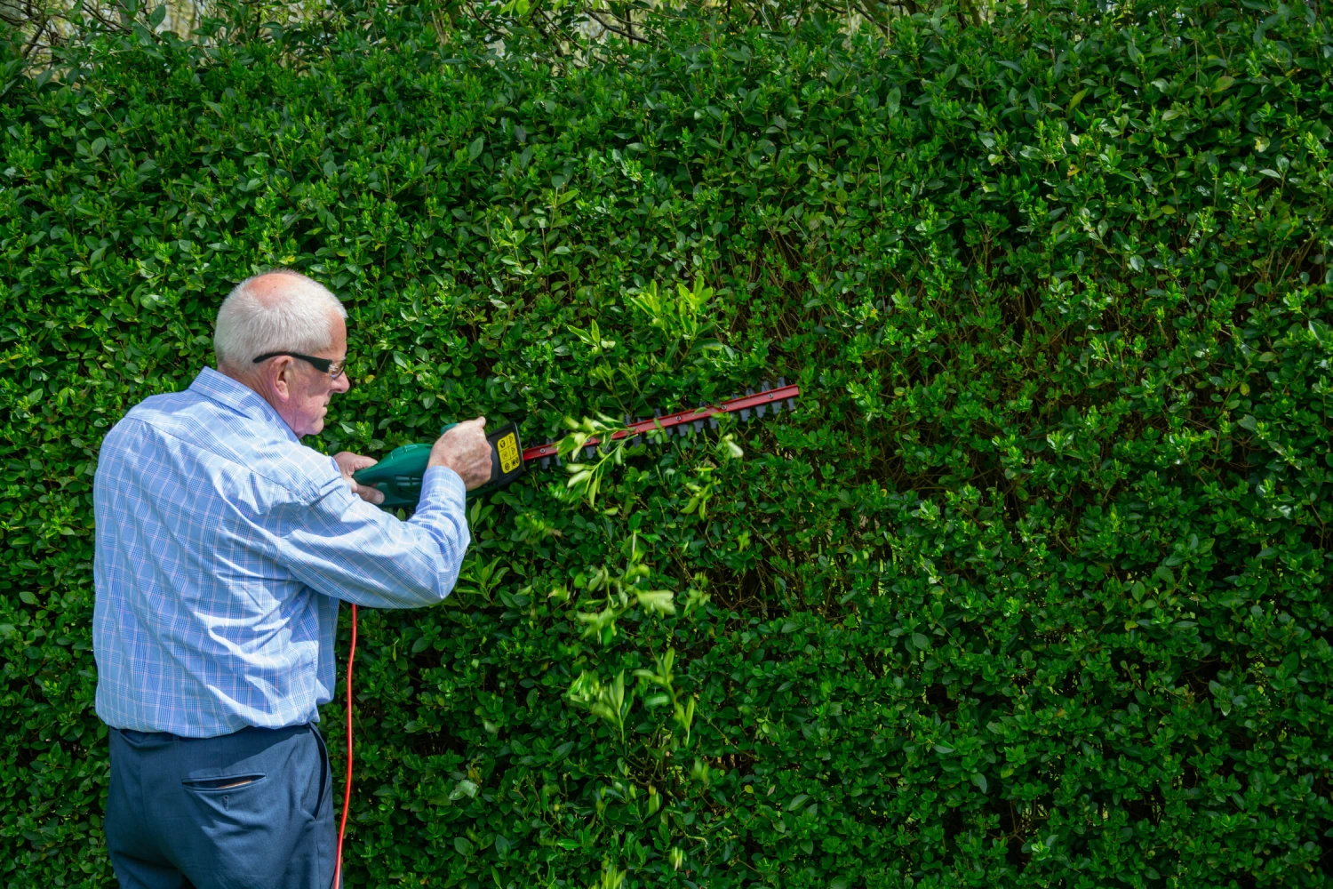 Webb EHT500 Classic Electric 500w Hedge Trimmer 50cm/20in 240v 8 Webb EHT500 Classic Electric 500w Hedge Trimmer 50cm/20in 240v - Image 8