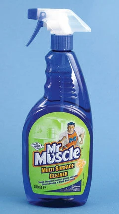 Mr Muscle Trigger Spray Multi Surface Cleaner 750ml